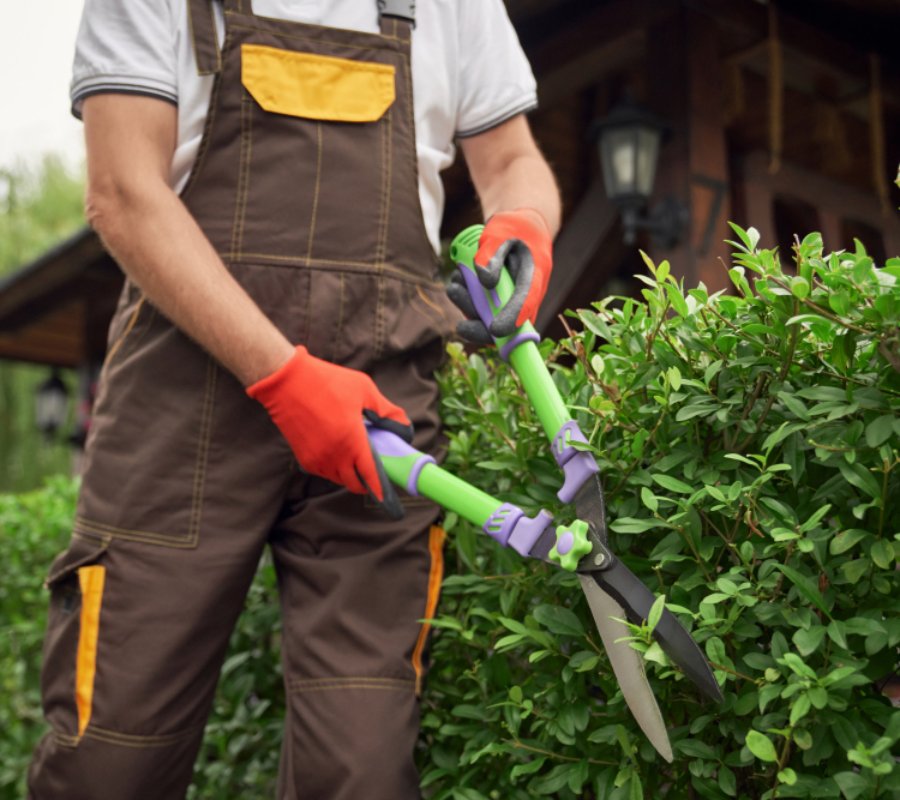 création et entretien de jardin